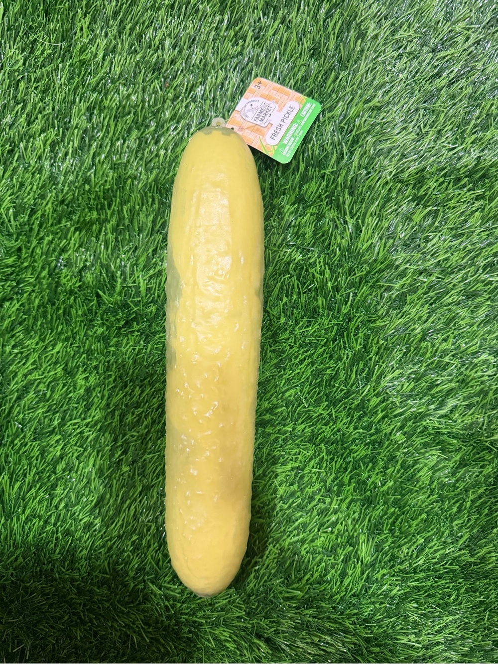 Jumbo pickle squishy!